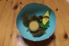 IMAG0038