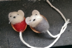 IMAG1419
