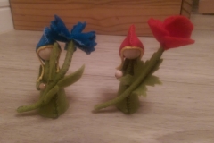IMAG2442